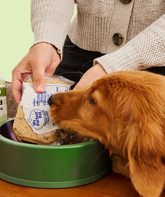 
              Chicken for Puppies
            