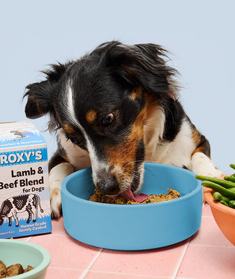 
              Lamb and Beef
            