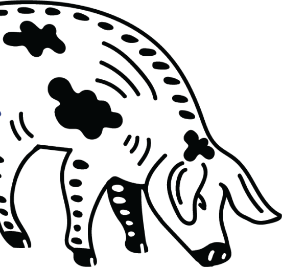 pig